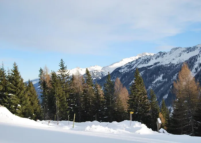 Almhaeuser Filzsteinalpe Almhaus 205 度假居 克里姆尔